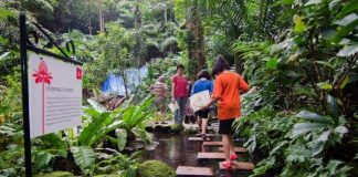 Night Walks at Tropical Spice Garden