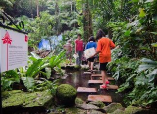 Night Walks at Tropical Spice Garden