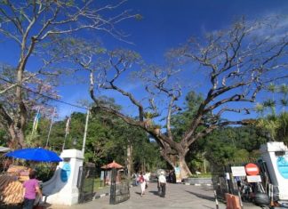 Penang Botanic Gardens, 130 years of Legacy