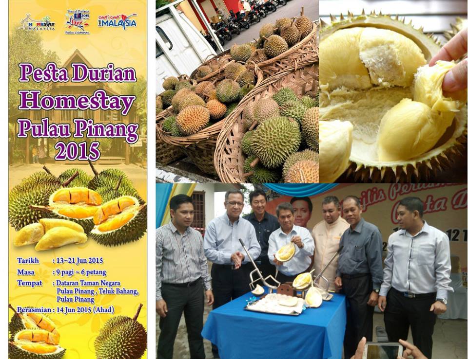 Penang Durian Festival 2015 - Penang Career Assistance and Talent Centre
