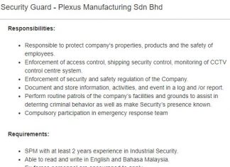 Security Guard (minimum requirements needed)
